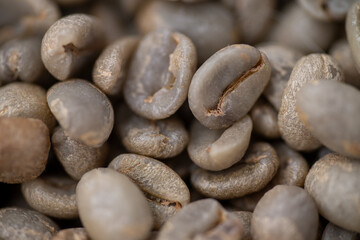 Close up of Unroasted Green Coffee Beans
