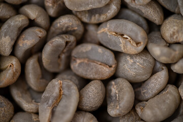 Close up of Unroasted Green Coffee Beans