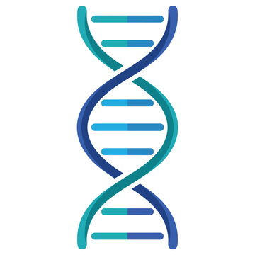 Blue and teal  double helix illustration