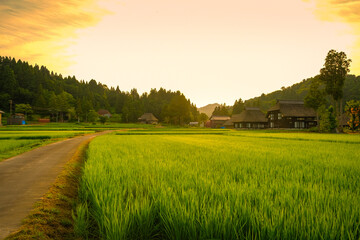 Obraz premium 荻ノ島環状集落 夏 夕暮れ