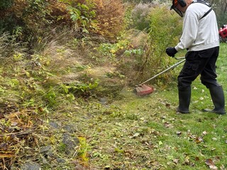Man trimming overgrown autumn vegetation with grass trimmer, safety gear and garden maintenance in backyard