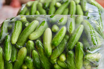 Fresh cucumbers in plastic bag for sale in the market