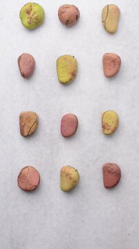 Overhead view of open kola nut on white granite countertop, top view of fresh kolanut