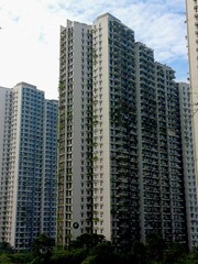 Fototapeta premium Forest City