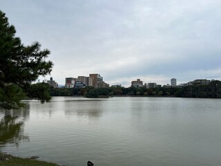 Fototapeta premium 大濠公園の池