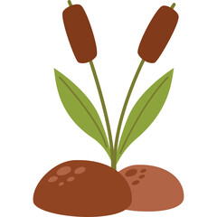 Brown Cattails With Green Leaves Growing Out Of Muddy Ground With A Transparent Background In A Simple Flat Illustration Style