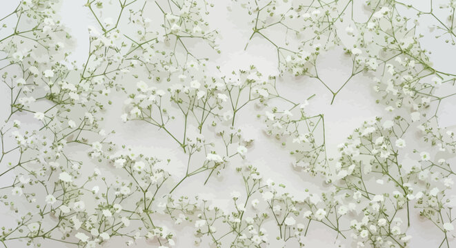 Delicate white baby's breath flowers scattered across a plain background, creating a light and airy floral pattern