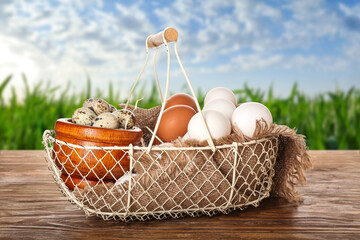 Basket with chicken and quail eggs on wooden table against white background