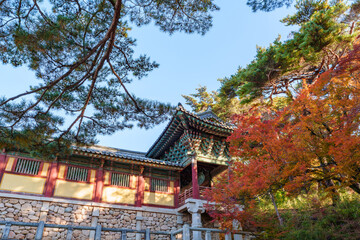 Autumn scenery of Bulguksa Temple in Gyeongju, Korea, with its beautiful red maple trees.