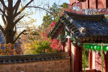 Autumn scenery of Bulguksa Temple in Gyeongju, Korea, with its beautiful red maple trees.