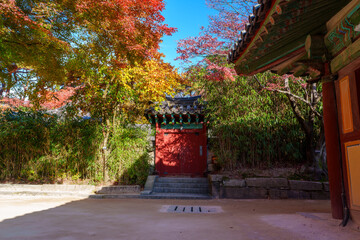 Autumn scenery of Bulguksa Temple in Gyeongju, Korea, with its beautiful red maple trees.