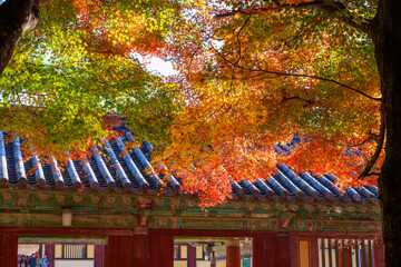 Autumn scenery of Bulguksa Temple in Gyeongju, Korea, with its beautiful red maple trees.