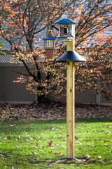 Backyard bird feeding set-up on an 8 ft  post with a squirrel baffle. A bird feeder dispenses seed. A camera captures bird videos and images. A suet feeder hangs from a high post. 