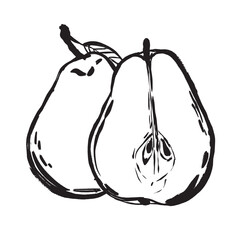Monochrome drawing showcasing surface patterns and seed hollows of pears
