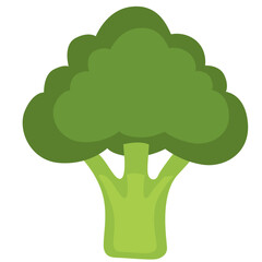 A fresh broccoli illustration in minimalist flat style, representing healthy vegetables, organic gardening, nutritious food ingredients, natural produce, and wholesome cooking elements.