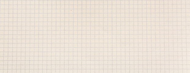 Sheet of checkered paper, closeup