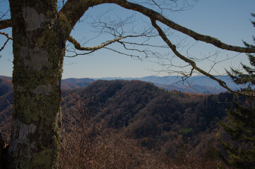 Autumn Colors Over Broad Mountain Range in NC With Rolling Forest Valleys And Blue Sky. Layered mountain ridges and dense autumn forests create a serene landscape. Bright blue sky, distant haze, and b