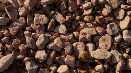 CA Camarillo Cactus Gravel 2025