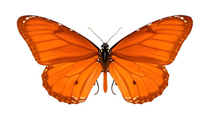 Vibrant orange butterfly with intricate wing patterns isolated on transparent background