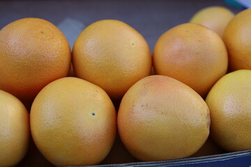 Fresh grapefruit lined up in market display for sale