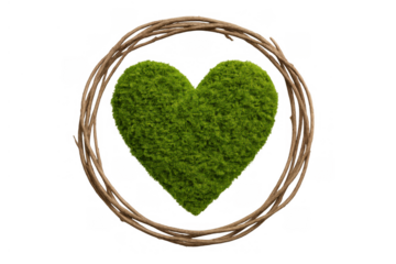 Green moss heart with rustic wooden wreath on transparent background representing nature, love, and ecology