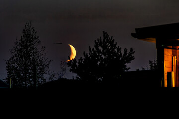 Pretty orange moon peeking out from behind trees next to a cozy lit-up house