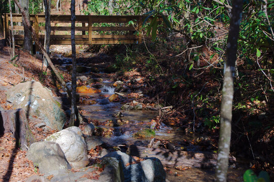 Tranquil small Woodland Stream Winding Through Rocks and Fallen Leaves in a Sunlit Forest Scene at Socco Falls, NC. Flows over rocks among trees and a bed of fallen leaves. With a footbridge.