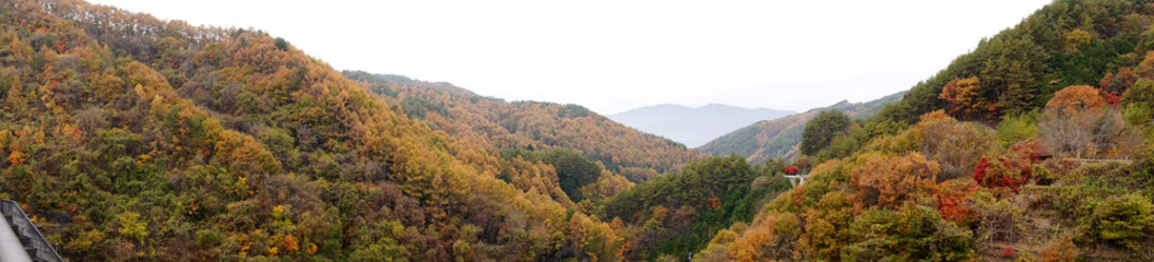 日本：ダムから見る紅葉のパノラマ【箕輪ダム・もみじ湖】長野県箕輪町・11月