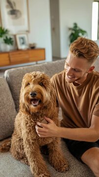 Young man with stylish haircut sitting on a modern sofa, smiling and petting his fluffy brown Labradoodle dog in a cozy living room. Warm sunlight fills the contemporary space