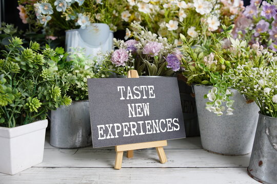 Taste New Experiences Motivational And Inspirational Quotes - Powered by Adobe