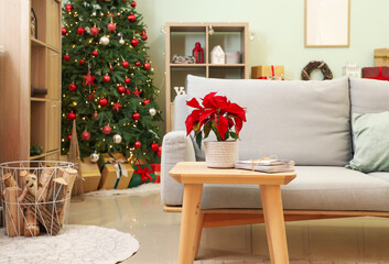 Christmas plant poinsettia with letters to Santa on table in living room