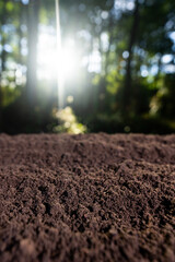 Fertile soil background. Soil for planting and farming. Compost and organic fertilizer.