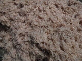 Fresh Small Shrimp or Krill Prawns Ready for Processing