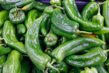 fresh green peppers