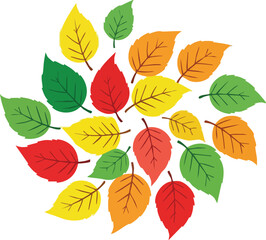 Obraz premium Circular arrangement of autumn leaves in red yellow orange and green colors against a white background