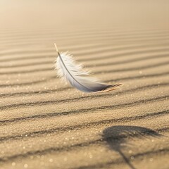 A delicate white feather gently floats above the rippled sandy surface in a serene desert landscape under soft sunlight