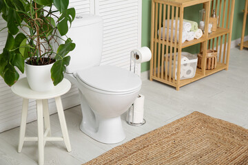 Interior of restroom with toilet bowl, houseplant and shelving unit near green wall
