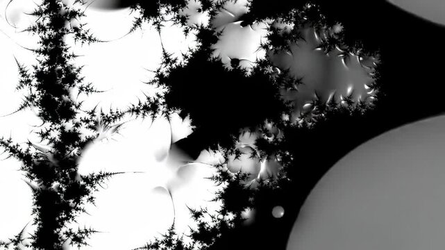 Abstract monochrome fractal design with glossy, bulbous forms and branching, spiky details against a stark black background
