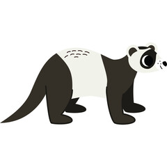 Cartoon Ferret Animal Standing On A White Background Cute Mammal Pet Drawing With Black And White Fur