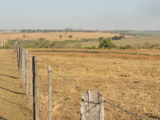 Barbed wire fence in the field - Cattle farm - Brazil