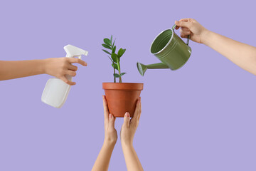 Female hands with plant, watering can and spray bottle on lilac background