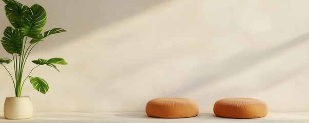 Wellness meditation positivity concept. Minimalist interior with potted plant and round cushions against a textured wall.