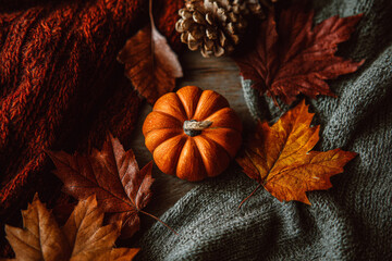 Cozy autumn still life with small pumpkin, pine cone, dry leaves, and knitted sweaters backgound. Warm Thanksgiving composition, rustic fall decor for seasonal comfort and home