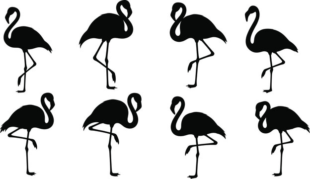 Flamingo silhouette vector set featuring graceful bird poses with long legs and curved necks for tropical nature illustration and design elements