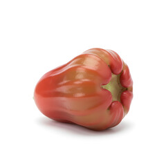 Rose Apple Fruit side view close up of ripened wax apple calyx end
