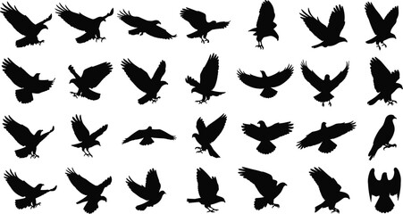 Bird silhouettes, flying raptors, perched hawks, black birds, wildlife icons, avian shapes, eagle poses, falcon wings, nature symbols, graphic elements