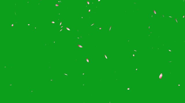 Flying petals loopable. cherry blossom falling animation.  falling petals, sakura petals falling soft pink flower petal overlay loop.
