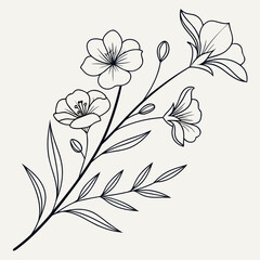 Elegant line art illustration of a flowering flax branch, showcasing delicate petals, buds, and leaves in a botanical style isolated on