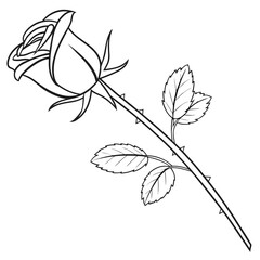 A single rose on a stem with thorns and leaves, depicted in a classic black and white line drawing, isolated on for versatile design