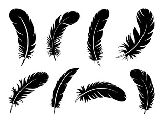 Collection of Black Feather Silhouettes on White Background